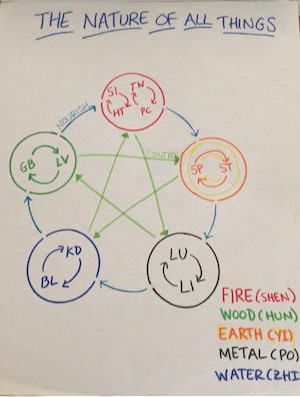 5-Element System,  Foods & Horary Acupressure Points