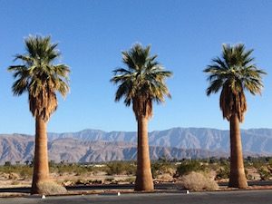 Borrego Springs Palms Support and healing with acupressure